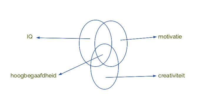 schema hoogbegaafdheid