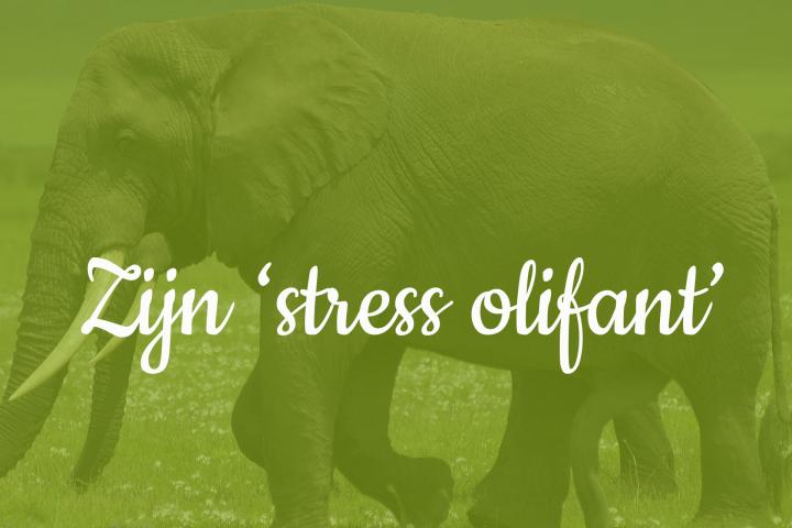 olifant en tekst zijn 'stress olifant'