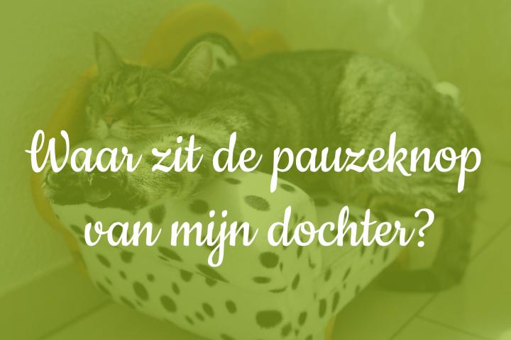 foto van een poes die aan het slapen is en tekst Waar zit de pauzeknap van mijn dochter?