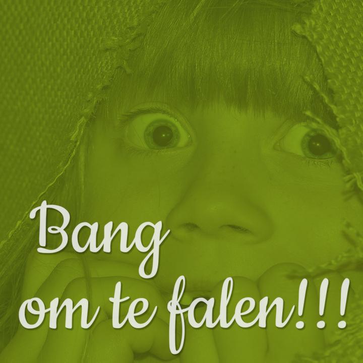 foto van een bang meisje en tekst bang om te falen